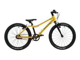 RASCAL 20 / Gold vaikiškas dviratis (20")