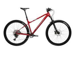 KROSS Level 6.0 red-gry g kalnų (MTB) dviratis (29") (L)