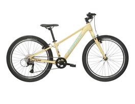 KROSS Level JR 1.0 bei g vaikiškas dviratis (24")
