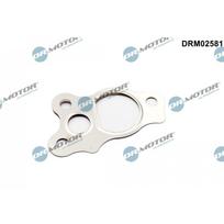 Tarpiklis, EGR vožtuvas Dr.Motor Automotive DRM02581