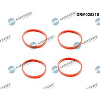 Įsiurbimo kolektoriaus tarpiklių rinkinys Dr.Motor Automotive DRM02521S