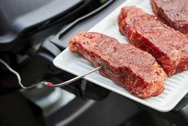 Weber Food Thermometer Connect Smart Grilling Hub