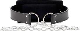 Zipro Dip Belt With Chain