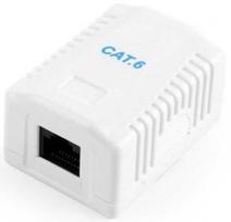 Gembird CAT6 UTP Single Port