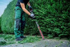 Metabo HS 18 LTX BL 65 Single blade 65 cm