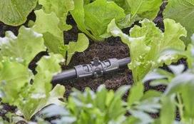 GARDENA Micro-Drip-System T-piece for spray nozzles, 13mm (1/2"), connector