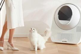 Catlink Pro-X Luxury Version (CL-08)