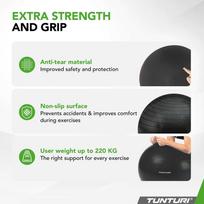 Tunturi Gym ball 75cm with pump, black
