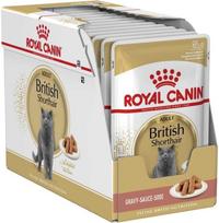 Royal Canin British Shorthair Adult Cat Food, 12 x 85g
