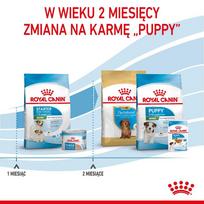 Royal Canin Mini Starter Mother  AND amp; Babydog Adult Poultry 1 kg