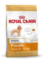 Royal Canin 1.5 kg Poodle (adult)