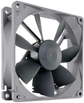 Noctua NF-κB9 redux-1600