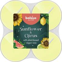 bolsius Tealights, 8-pack, 5.5 cm diameter, Sunflower  AND  Citrus