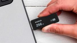 KIOXIA 256GB TransMemory U365 USB 3.2
