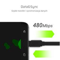 GREEN CELL USB-C to USB-A cable, 0.25m, QC 3.0, Black
