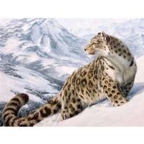 Visas 5D „pasidaryk pats“ deimantinis paveikslas „Leopardas sniege“ Siuvinėjimas kryželiu namų dekoras, rankų darbo dovana 25x30cm