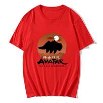 Avatar The Last Airbender Tshirts Casual Short Sleeve Soft Tee-shirt Cotton Comfortable Men/Women T-shirt Spring Summer Camisas S