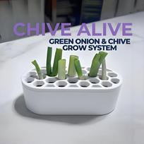 Scallion Regeneration Set-no Skills, Easy to Grow Green Onions at Home Compact System for Balconies, Fast Regeneration of Green Onions 1PCS balta
