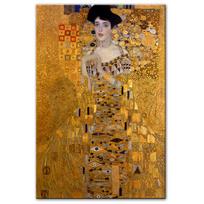 Adelės Bloch portretas Drobės paveikslai ant sienos Gustavo Klimto bučinio paveikslai Reprodukcijos Drobės piešiniai svetainei 20x30cm