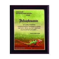 Plastikinis diplomas su „colour touch“ laminatu HG2552/G