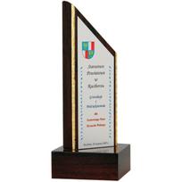 Plastikinis trofėjus su graviravimu TROF1C-C/GR
