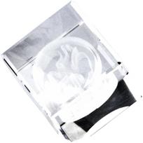 Stiklinis trofėjus su 3D graviravimu T026/3D
