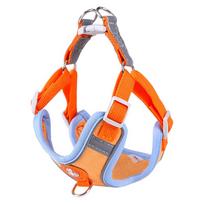 Zomšinis žieminis šunų diržas ir pavadėlis mažiems šuniukams S (Neck: 41-48cm, Chest: 47-54cm) oranžinė