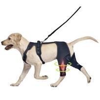 Dog Knee Brace with Metal Hinged Support - Adjustable ACL Brace for Torn Ligaments, Luxating Patella & Arthritis M juoda