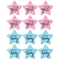 60/120pcs Team Boy Team Girl Stickers Boy or Girl Sticker for Gender Reveal Party Decoration Baby Shower Supplies Gift Box Label 60pcs