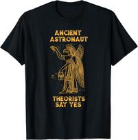 New Limited Anunnaki Ancient Astronaut Theorists Say Yes Sumerian Alien T-Shirt Mens Womens Tees Top Tops Tee XL