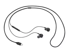 Į ausis dedamos ausinės Samsung IC100BBE Earphones Type-C, Juodos