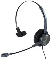 Ausinės PX-HSUSB101 ProXtend Epode Ausinės su laidu USB
