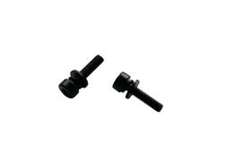 Promax varžtai Flat Mount diskiniams stabdžiams / 21 mm x M5 / 2 vnt