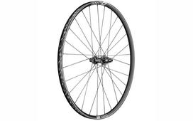 DT Swiss XR1700 Spline galinis ratas (29") / 12x148 mm / 350 hub / SRAM XD / 25 mm inner width