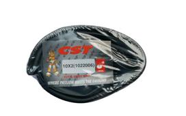 CST 10 x 2 Auto kamera dviračiui / 60°