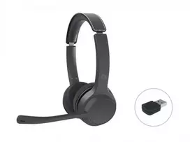 Carruzzo Conceptronic POLONA04BA Ausinės be mikrofono ir ausinės su mikrofonu Vielinis ir Bevielis Su lankeliu Skambučiai / muzika C tipo USB Bluetooth Juoda