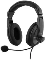 HL-50C Ausinės DELTACO, 40mm elementas, USB-C, garsumo reguliatorius, juodos / HL-50C / 1903683
