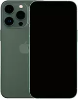 Apple iPhone 13 Pro Max 128GB Žalias (Atnaujintas, būklė kaip naujas)