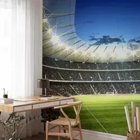 Fototapetai - Futbolo aikštė apšviestas stadionas su pilnomis tribūnomis