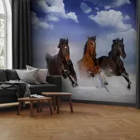 Fototapetai - Žirgai sniege