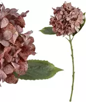 Mondex Since 1986 VIRIDIS dirbtinė gėlė hortenzija 53cm
