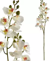 Mondex Since 1986 VIRIDIS dirbtinė gėlė orchidėja 65 cm