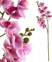 Mondex Since 1986 VIRIDIS dirbtinė gėlė orchidėja 65 cm