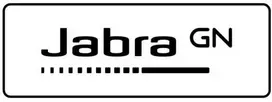 Ausinės Jabra Evolve2 50 USB C/A MS