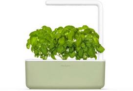Click Grow „Click and Grow“ – išmaniojo sodo 3 pradinis rinkinys (spalva: šalavijų) (SGS13UNI)