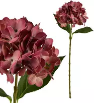 Mondex Since 1986 VIRIDIS dirbtinė gėlė hortenzija 60 cm