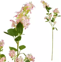 Mondex Since 1986 VIRIDIS Žydinti šakelė 80cm