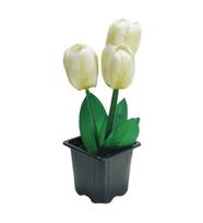 Dirbtinė gėlė tulpės baltai žalsvos, 7*7 H20cm