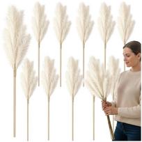 Dirbtinė balta pampų žolė PVC 56,5 cm (10 vnt.) N83