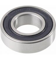 Guoliai CN 6001 galiniam ratui - Xiaomi M365 ir M365 PRO